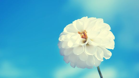 乐怎么投屏到乐视电视
