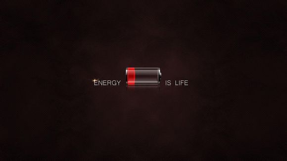 人类的未来是什么