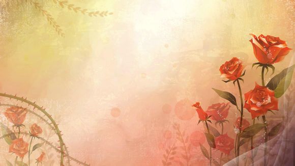 创维电视护眼哪个好