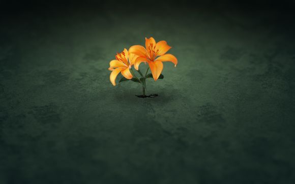 专家挂号费自付多少