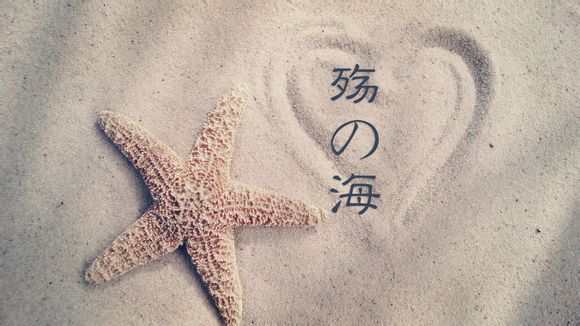 华纳有多少版权