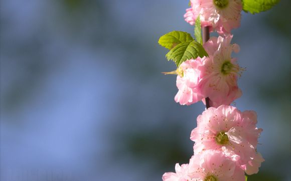 三菱空调什么价位