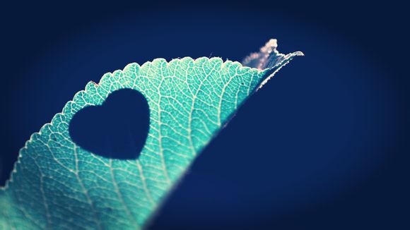 全新苹果7现在多少钱