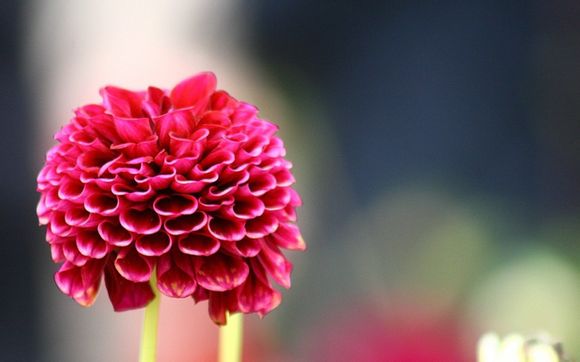 u盘里两个系统怎么安装系统